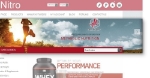 قالب Nitro Responsive